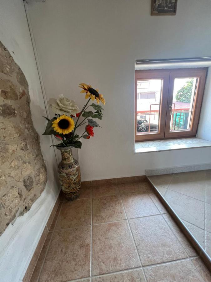 Kuca Za Odmor Matea Apartamento Poreč Exterior foto